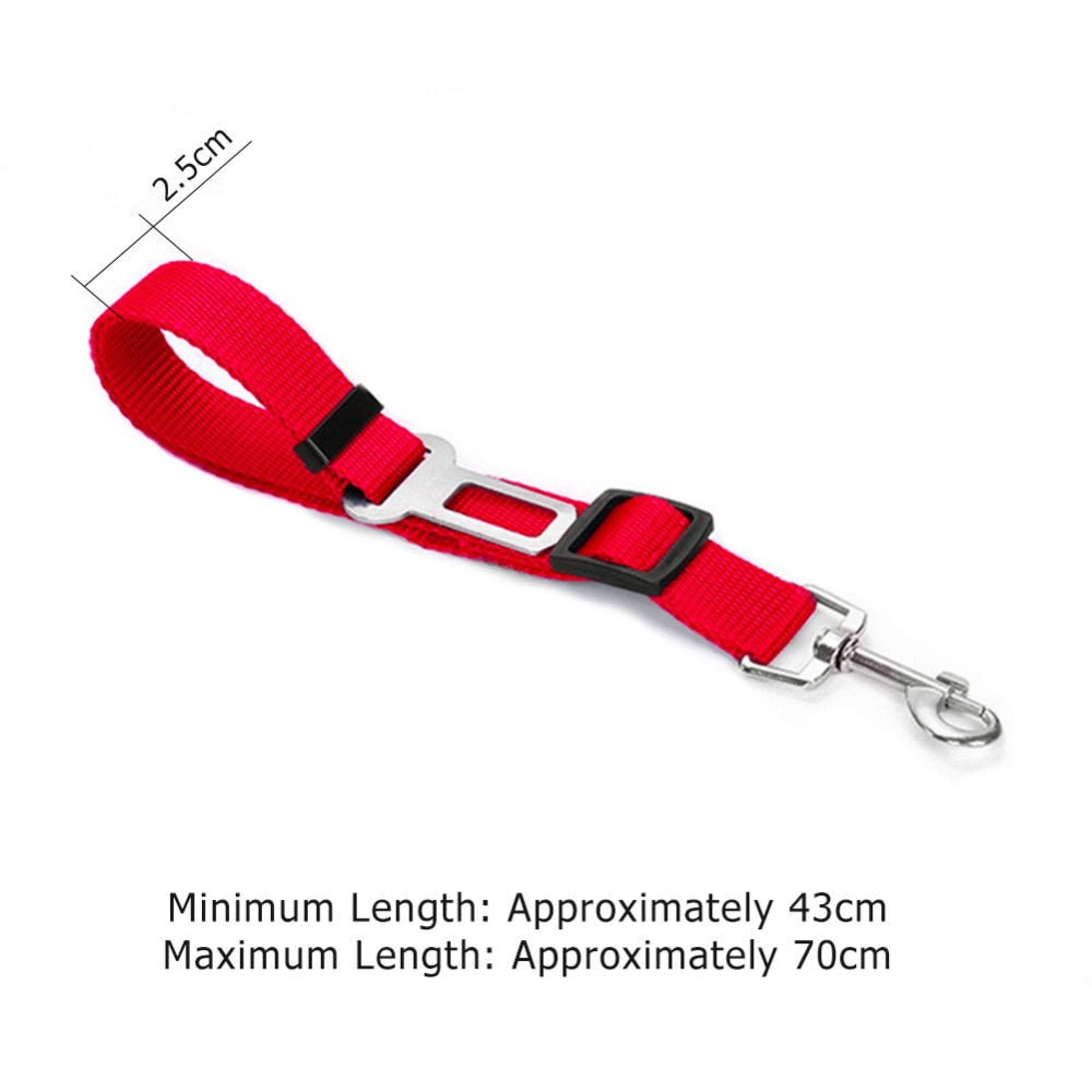 Vehicle Seatbelt Harness Leash