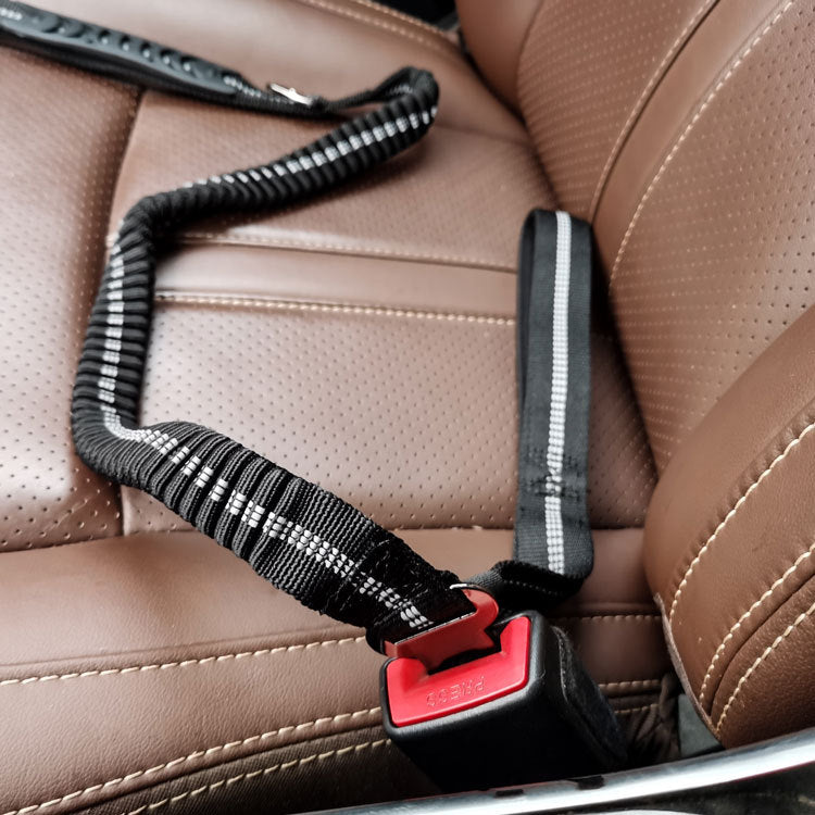 Multi-purpose Car Seatbelt and Leash