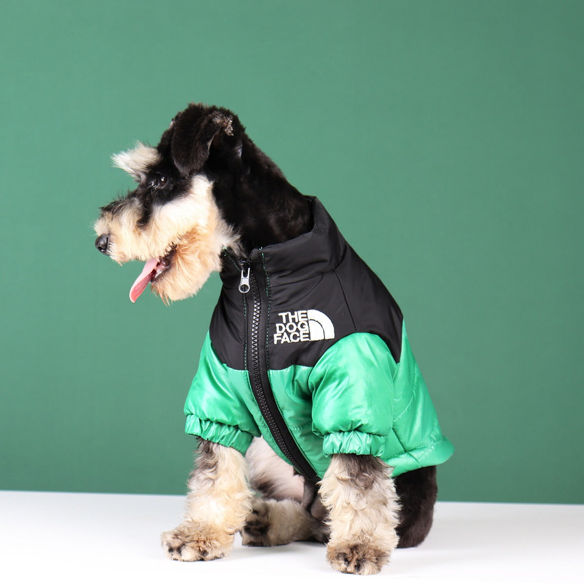 In Style Cotton Warm Jacket for Dogs