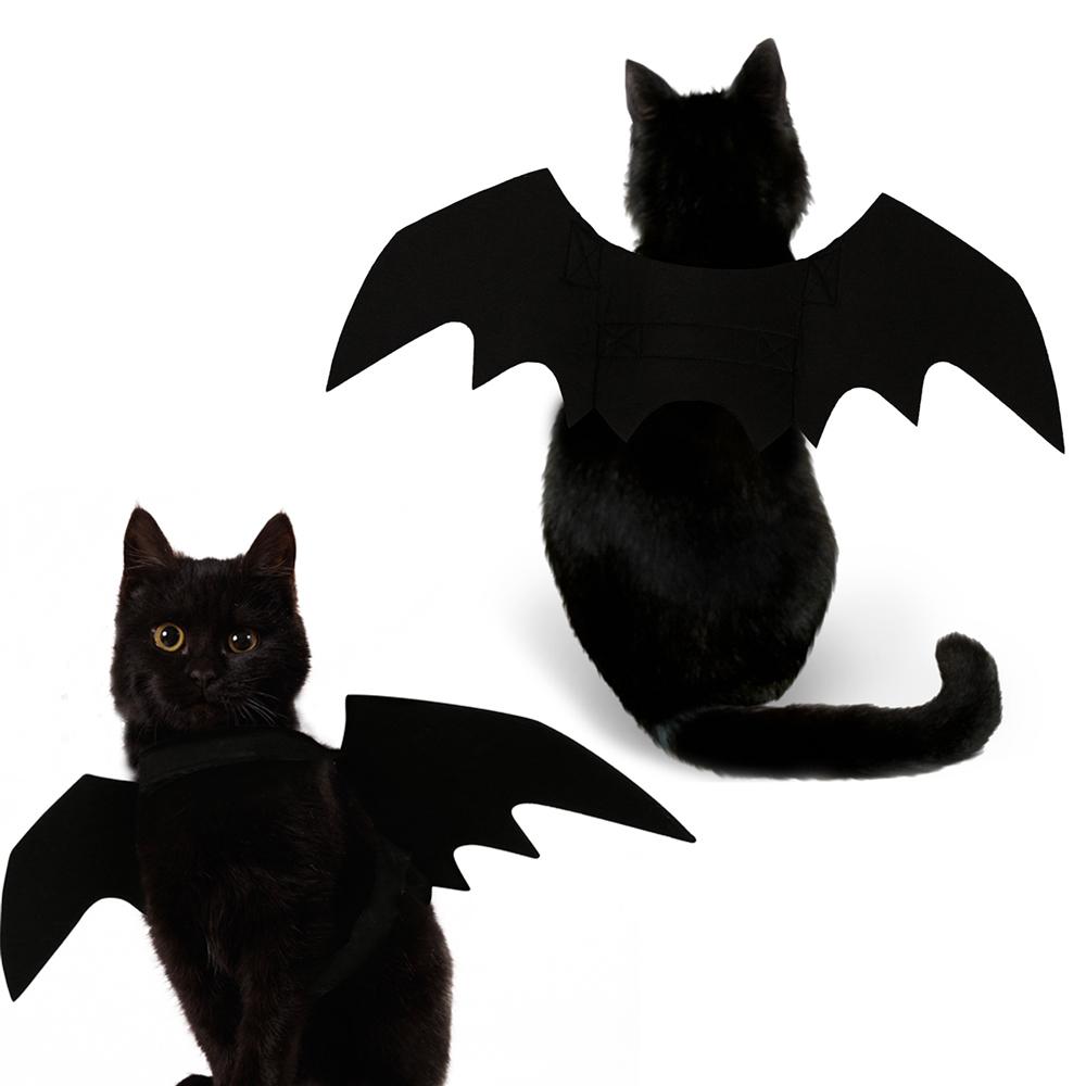 Halloween Bat's Wing Costume for Dogs and Cats