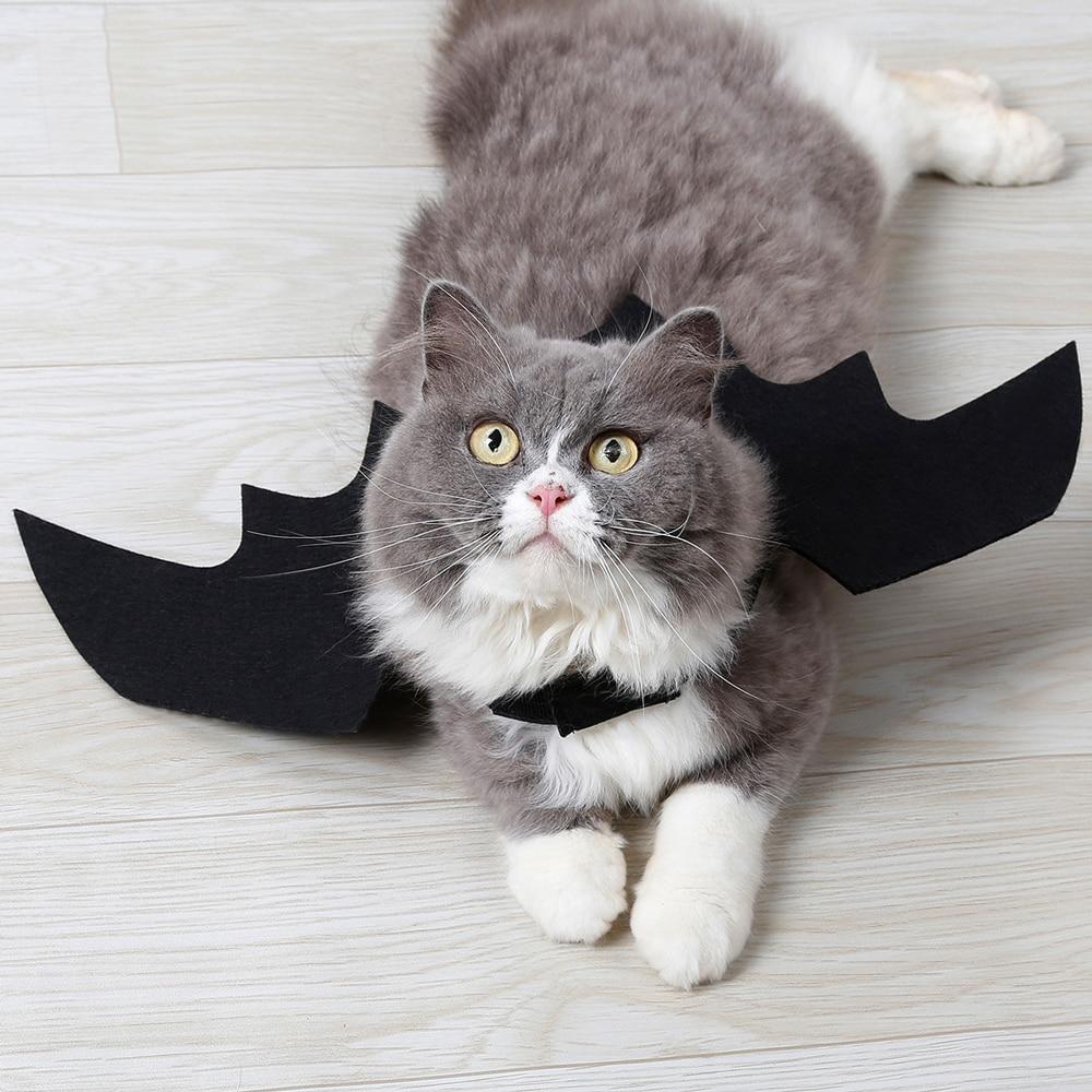 Halloween Bat's Wing Costume for Dogs and Cats