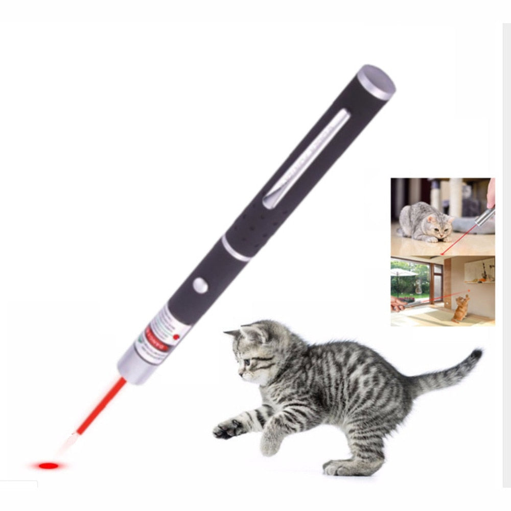 Interactive Laser Pen Pointer Toy