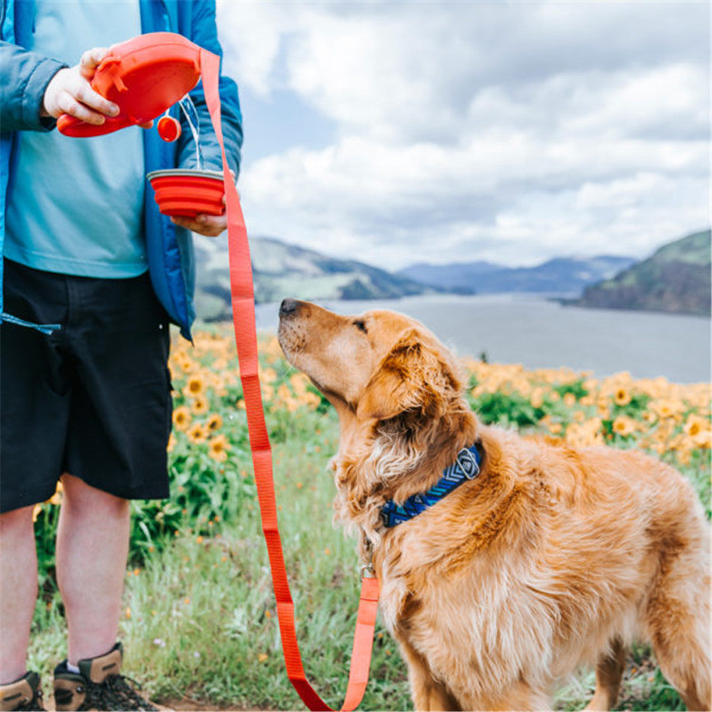 Multi-functional Dog Leash with Buil-In Watter Bottle