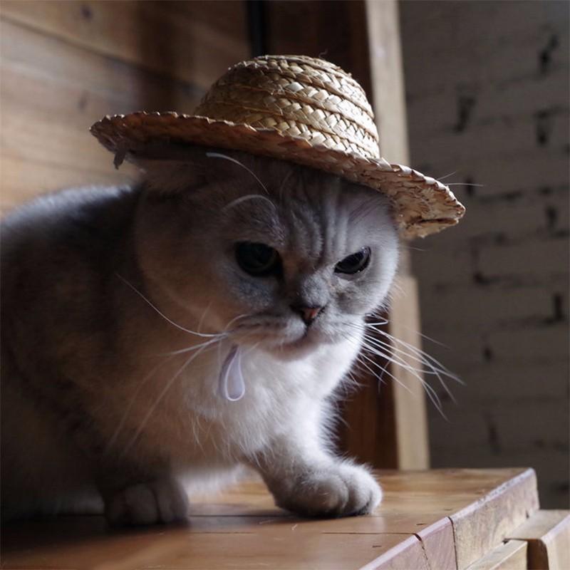 Farmer's Hat Handcrafted Hawaii Style for Cats