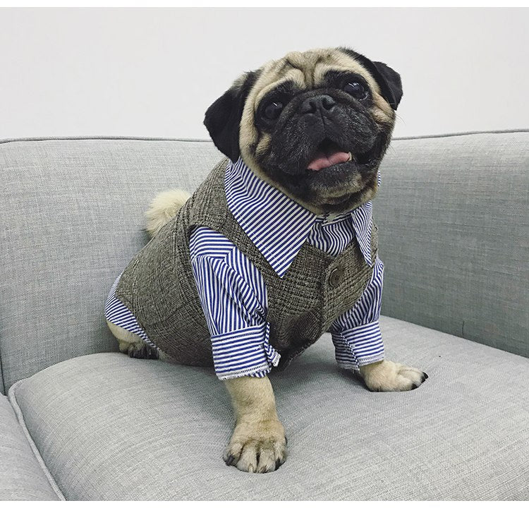 Special Occasion Suits for Dogs