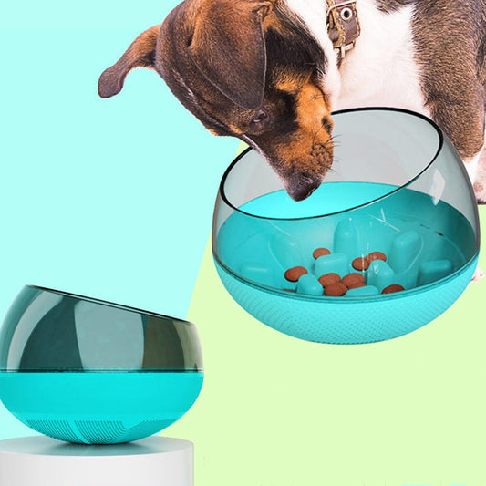 Aquarium Shaped Slow Feeding Bowl