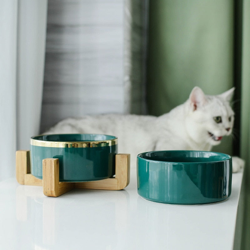 Ceramic Pet Feeding Bowl