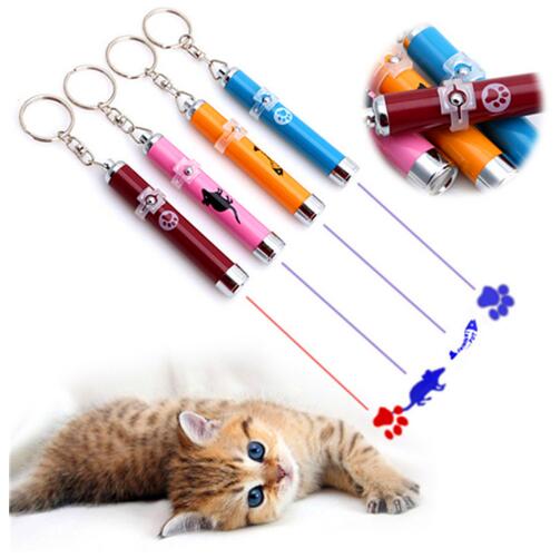 LED Laser Pointer Toy