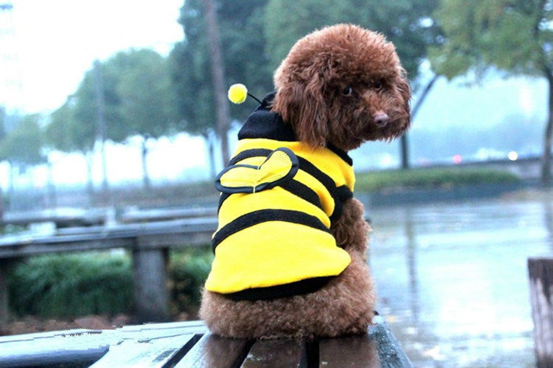 Pet Clothes Cute Bee Dress Dog Clothes Teddy Two-legged Dog Clothes Hooded Fleece