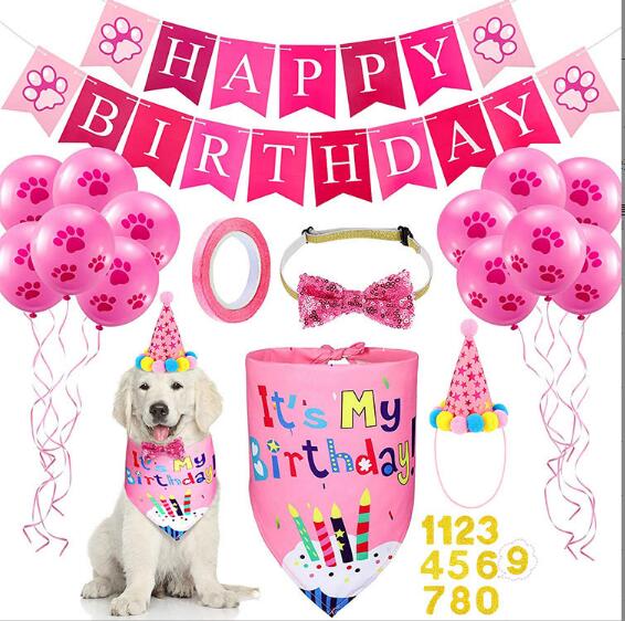 Birthday Bundle Kit for Dogs and Cat