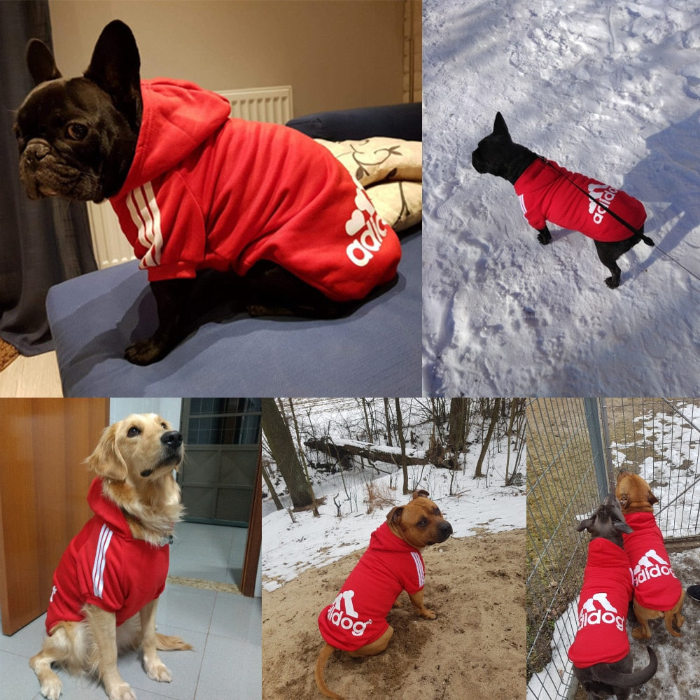 Winter Dog Hoodie