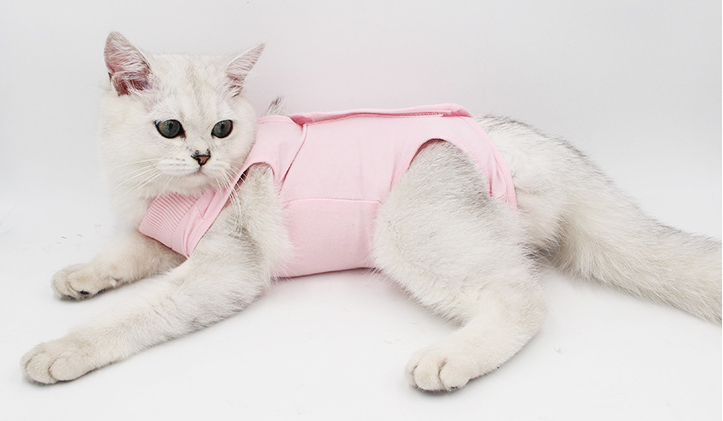 Cat Surgery Recovery Suit Anti Pet Licking Wounds Clothes