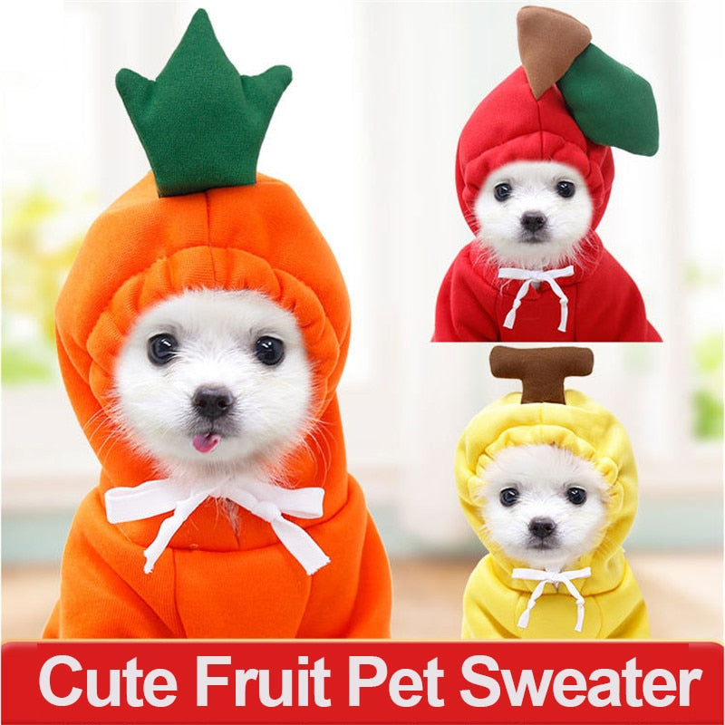 Cute Fruit Costume For Pets