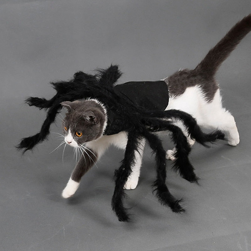 Soft Spider Costume for Cats and Dogs