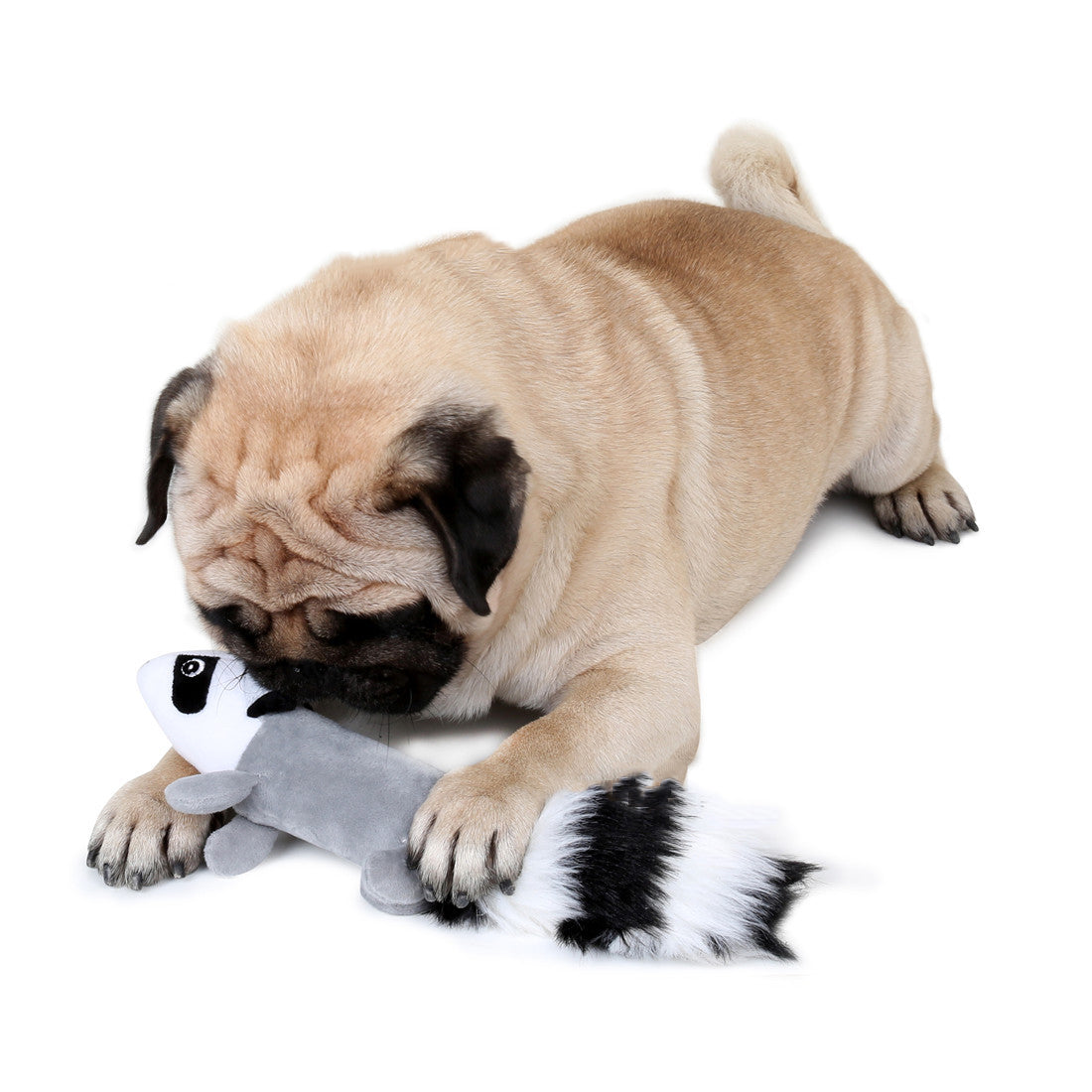 Interactive Squeaky Racoon Chew Toy