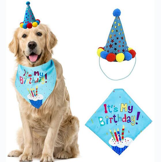 Birthday Bundle Kit for Dogs and Cat