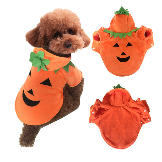 Halloween Pumpkin Costume