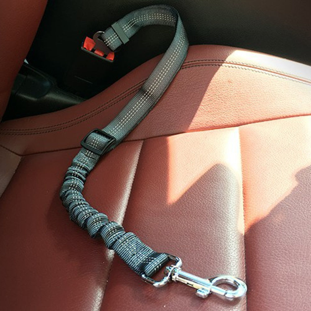 Pet Safety Belt for Cars