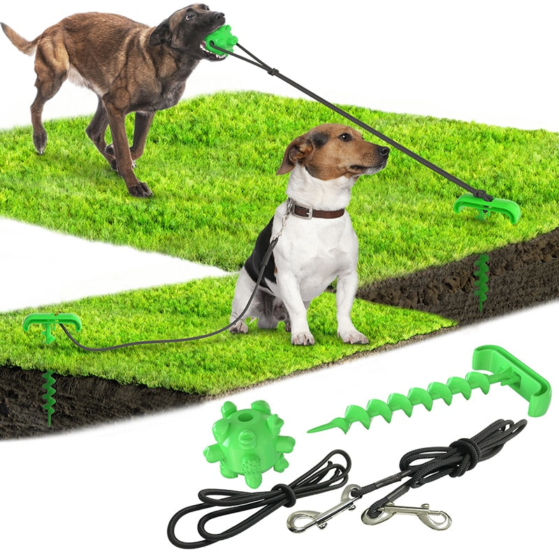 Interactive Outdoor Tying Peg Dog Toy