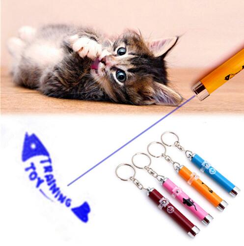 LED Laser Pointer Toy