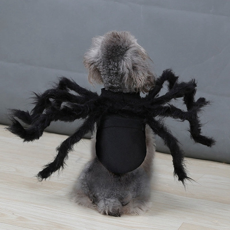 Soft Spider Costume for Cats and Dogs