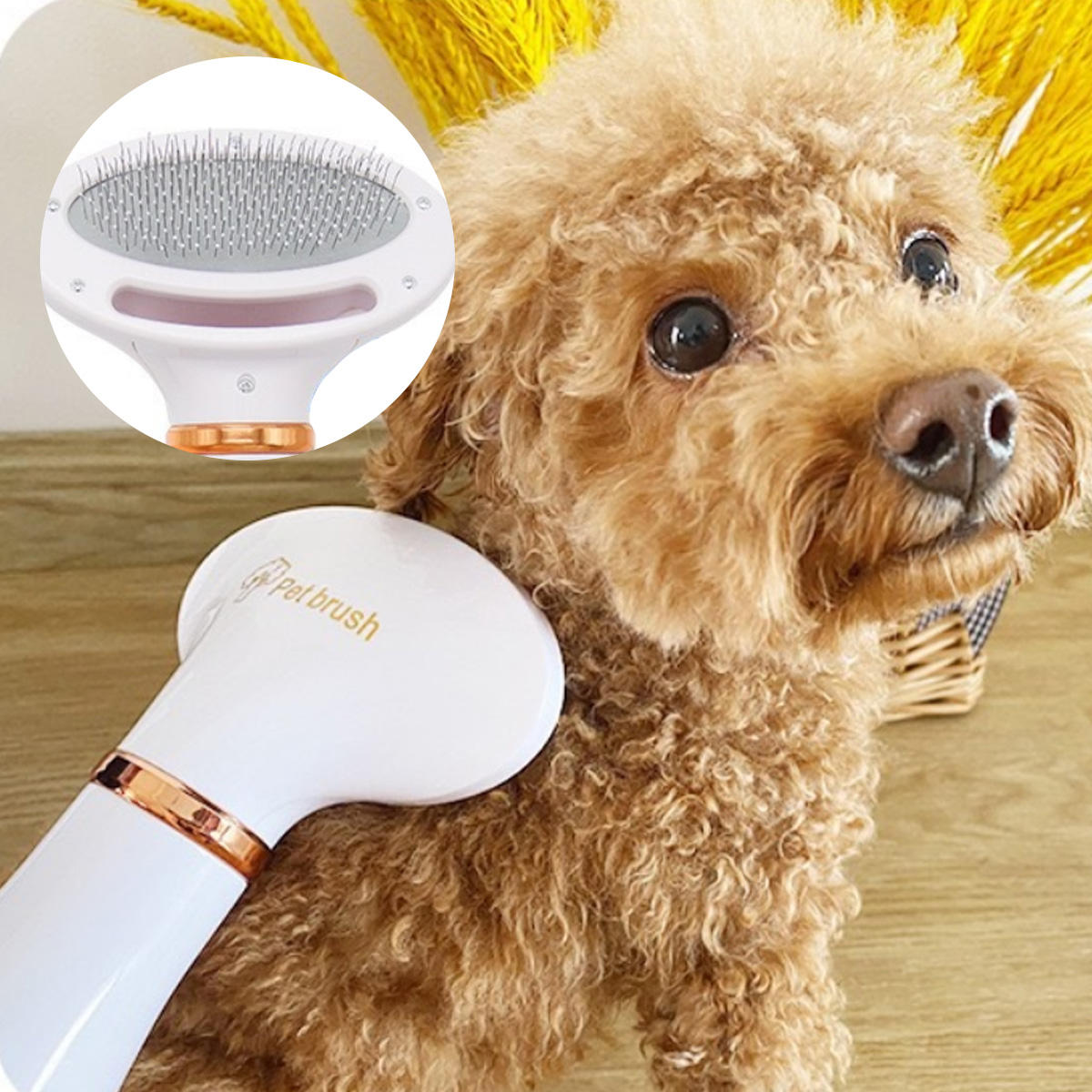 Two-In-One Pet Hot Air Comb and Hair Dryer for Pets