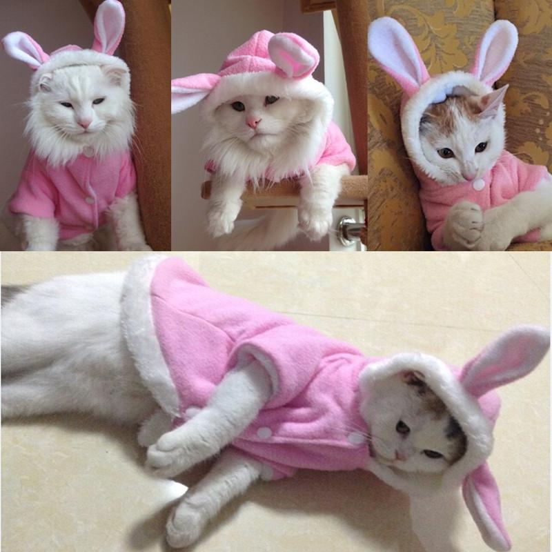 Cat with Bunny Ear Jacket Costume