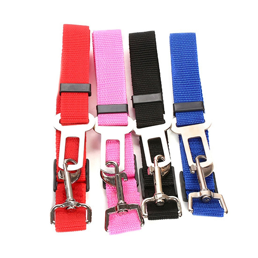 Vehicle Seatbelt Harness Leash