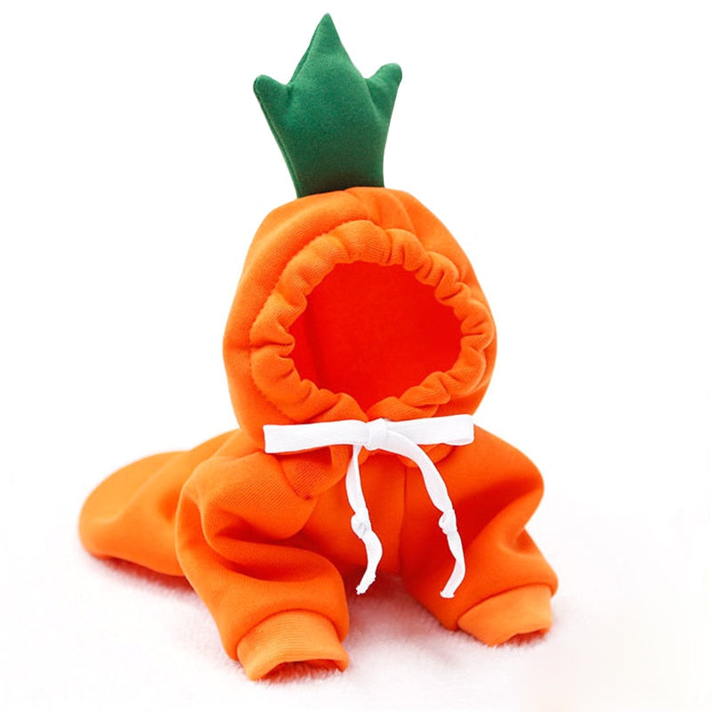 Cute Fruit Costume For Pets