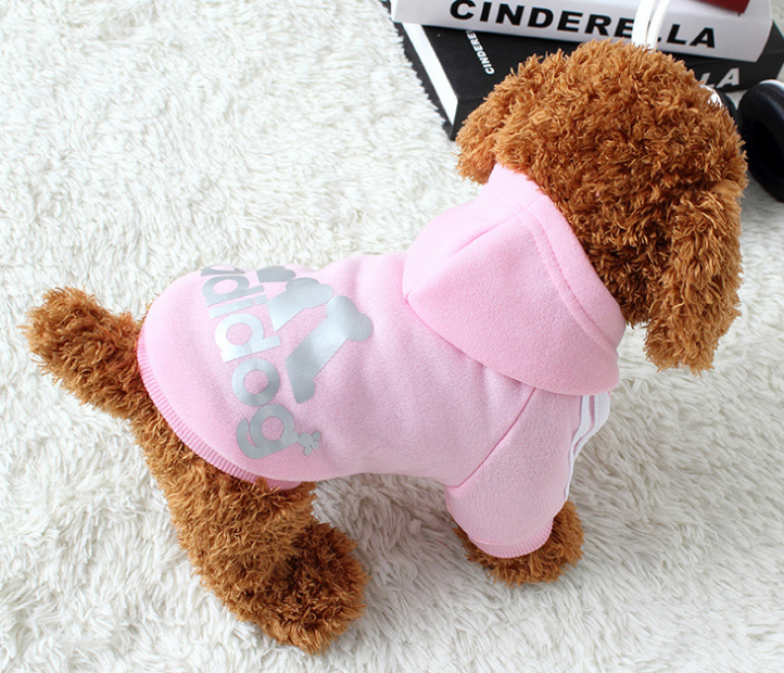 Winter Dog Hoodie