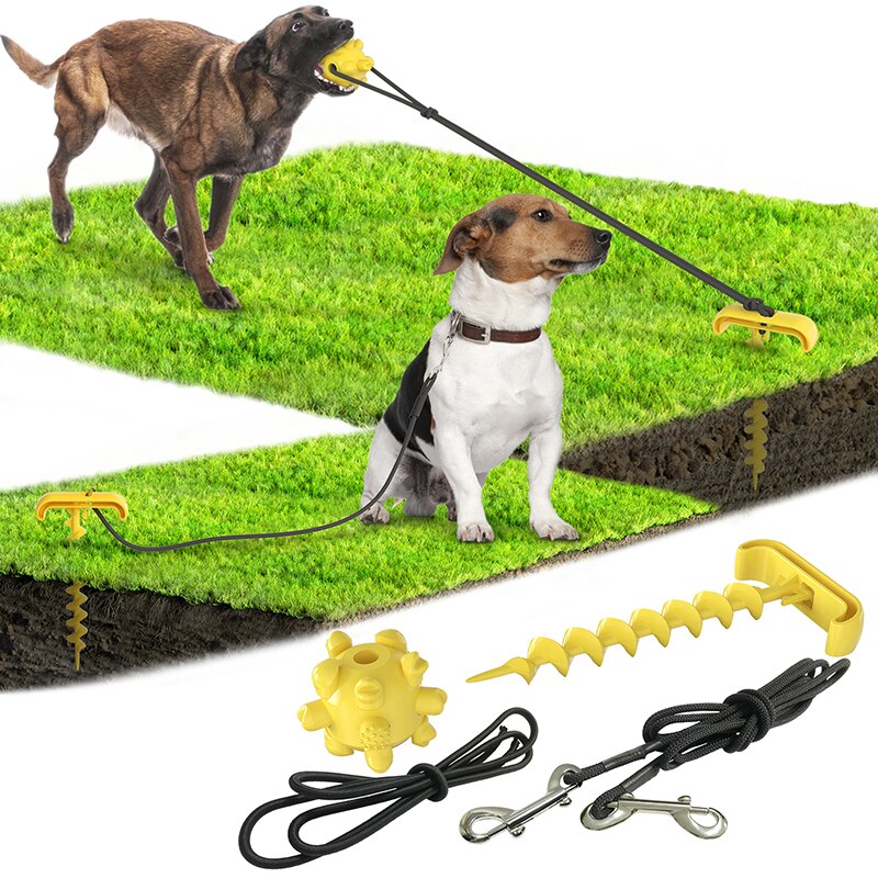 Interactive Outdoor Tying Peg Dog Toy