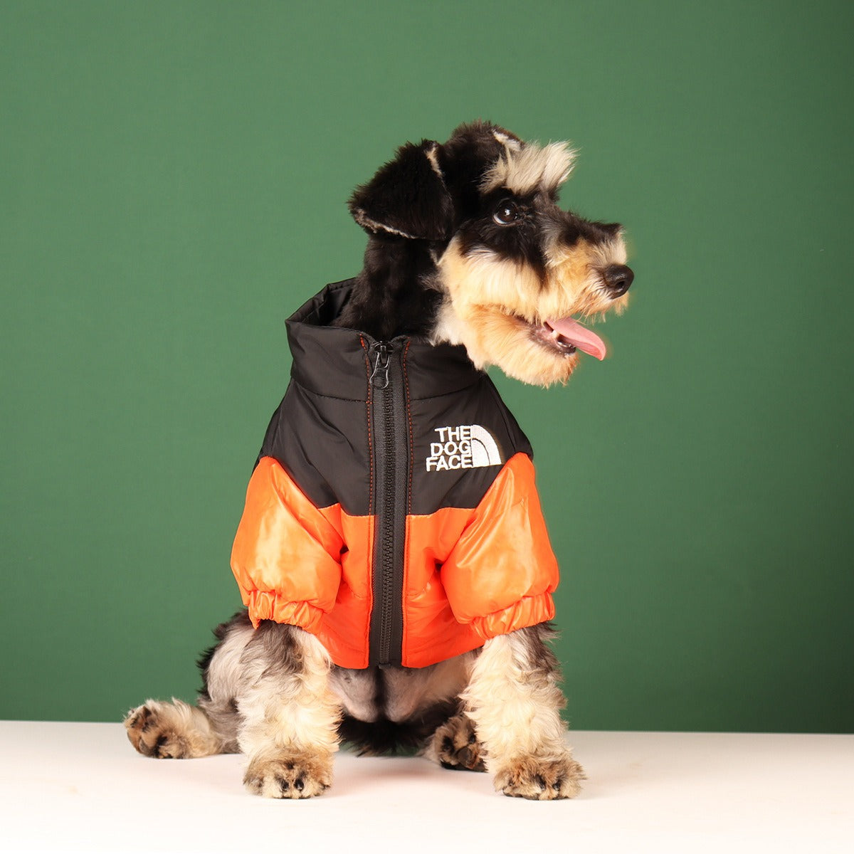 In Style Cotton Warm Jacket for Dogs