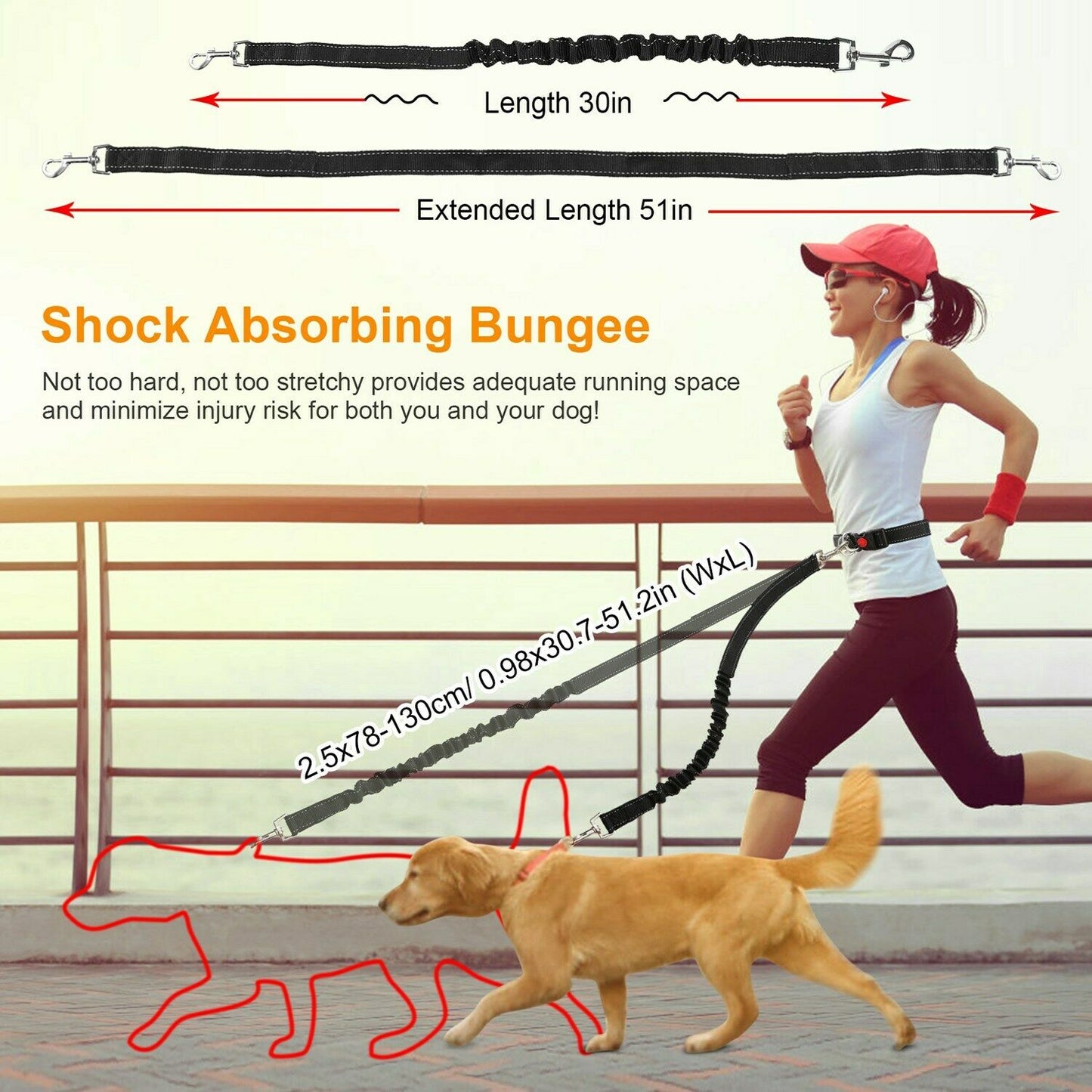 Waist Belt Dog Leash