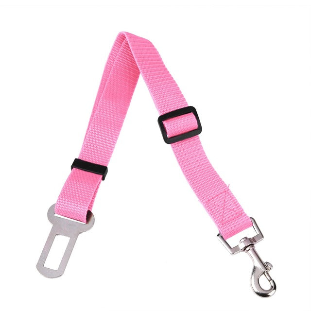 Vehicle Seatbelt Harness Leash