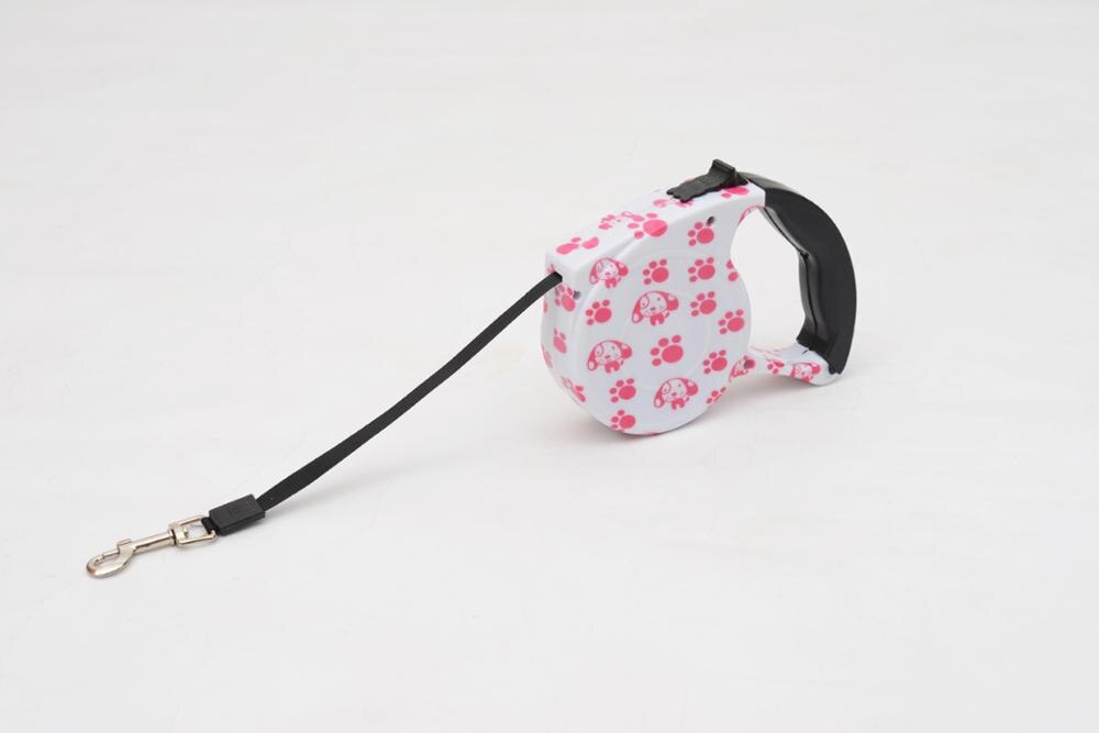 Summer Retractable Dog Leash