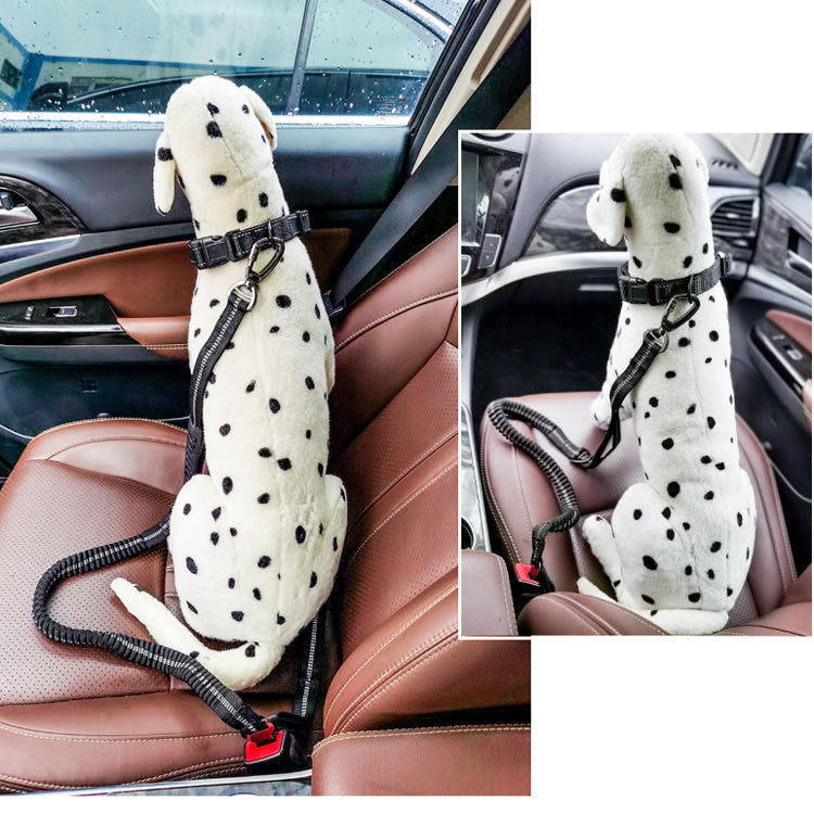 Multi-purpose Car Seatbelt and Leash