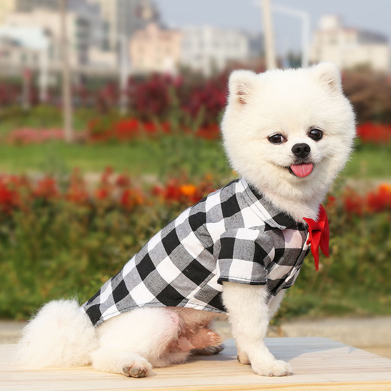 Elegant Dog Suit for Wedding or Special Occasion