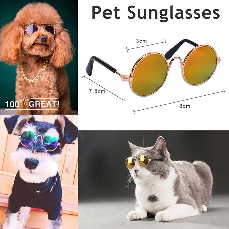 Protective Pet Summer Glasses