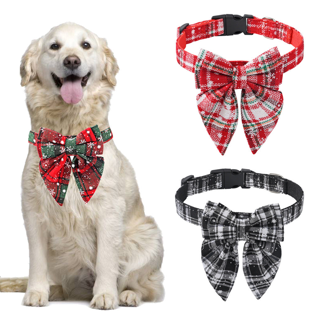 Plaid and Themed Collar