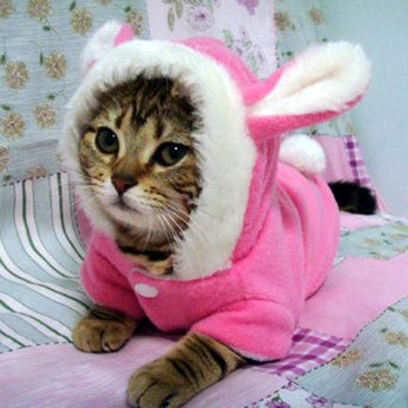 Cat with Bunny Ear Jacket Costume