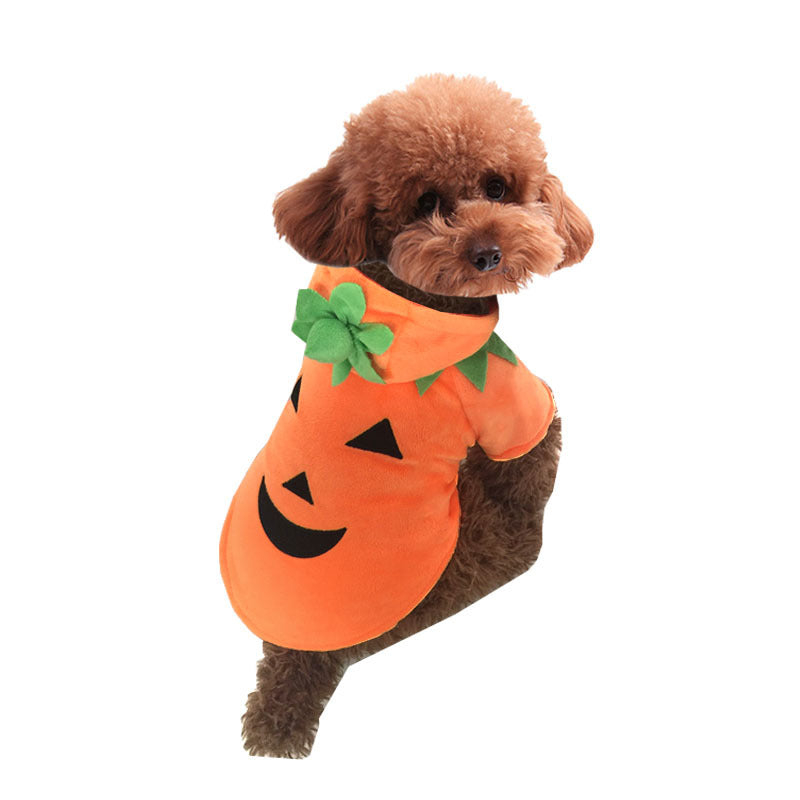 Halloween Pumpkin Costume