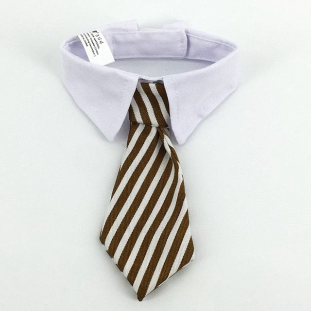 Collar with Necktie