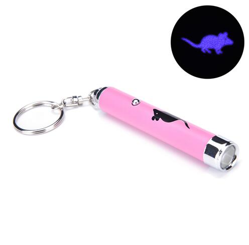 LED Laser Pointer Toy