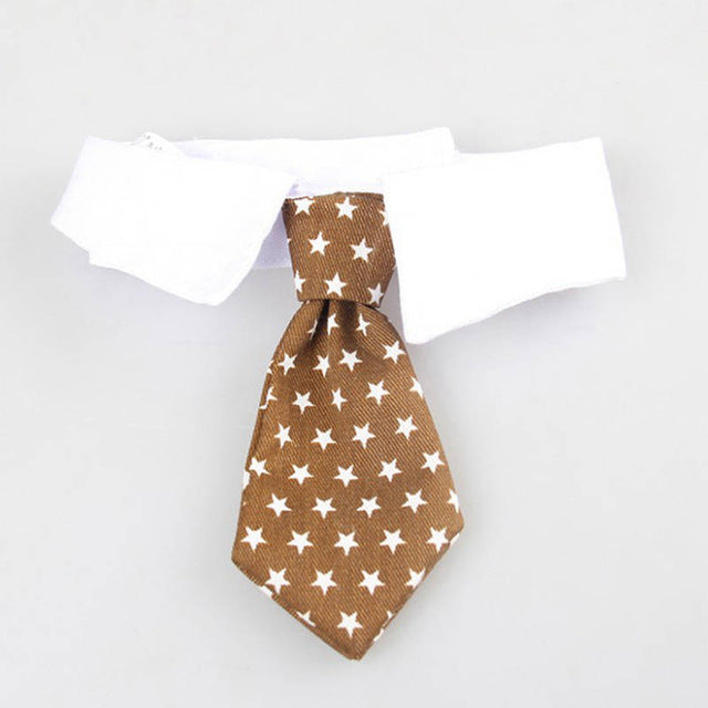 Collar with Necktie