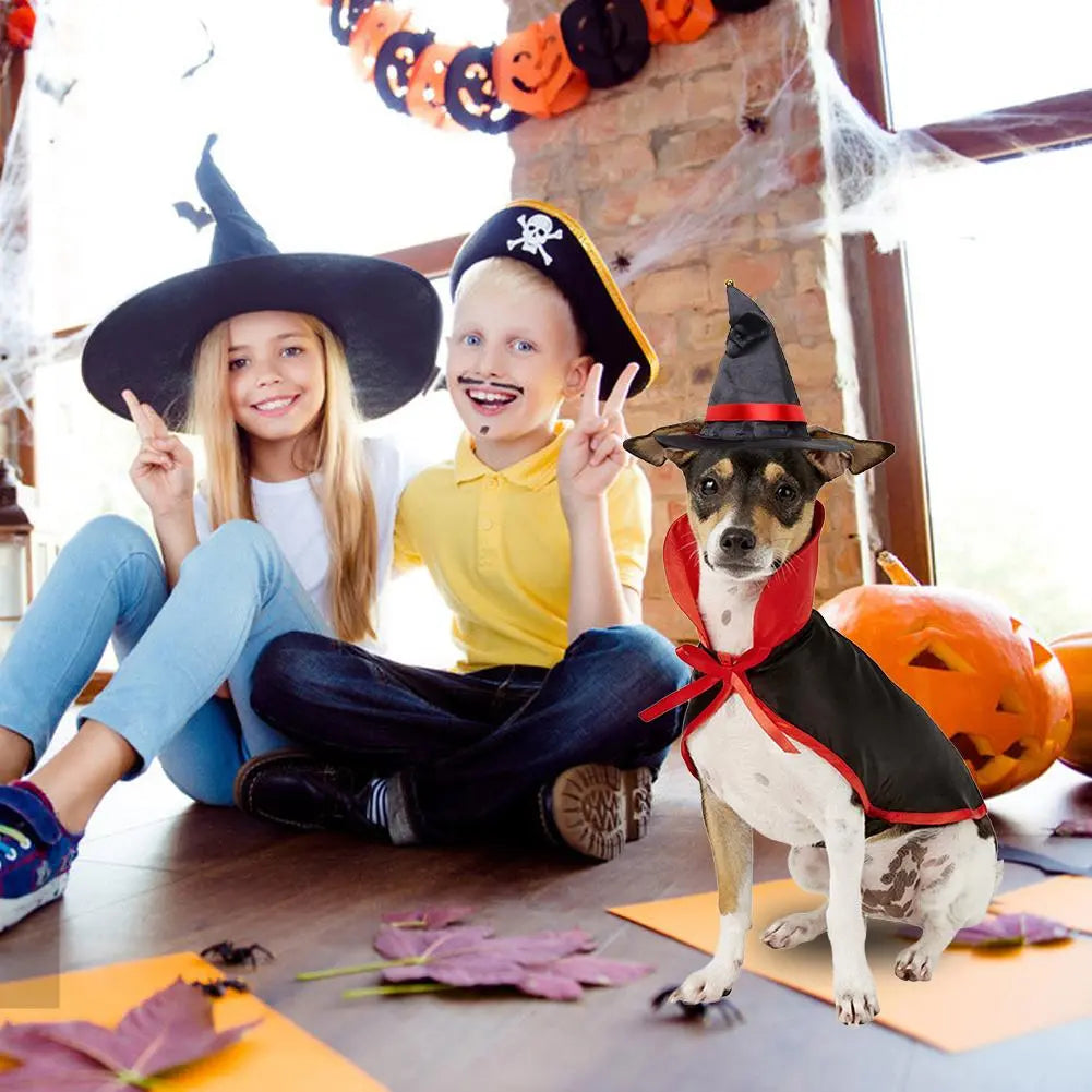 Witch Hat and Cloak Costume