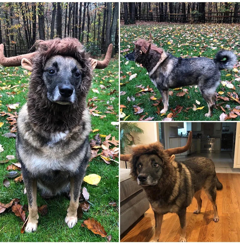 Head Wear Costume for Pets