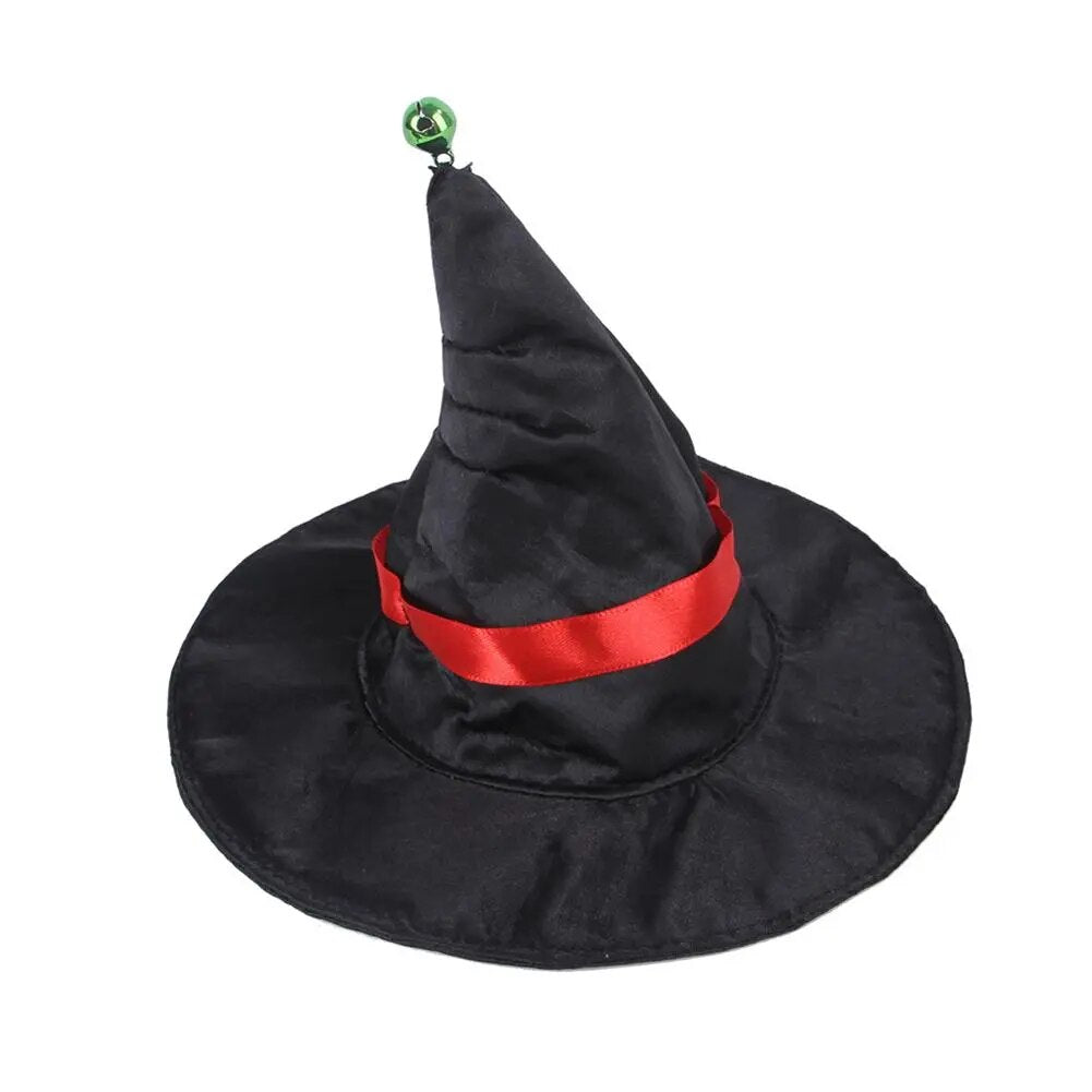 Witch Hat and Cloak Costume