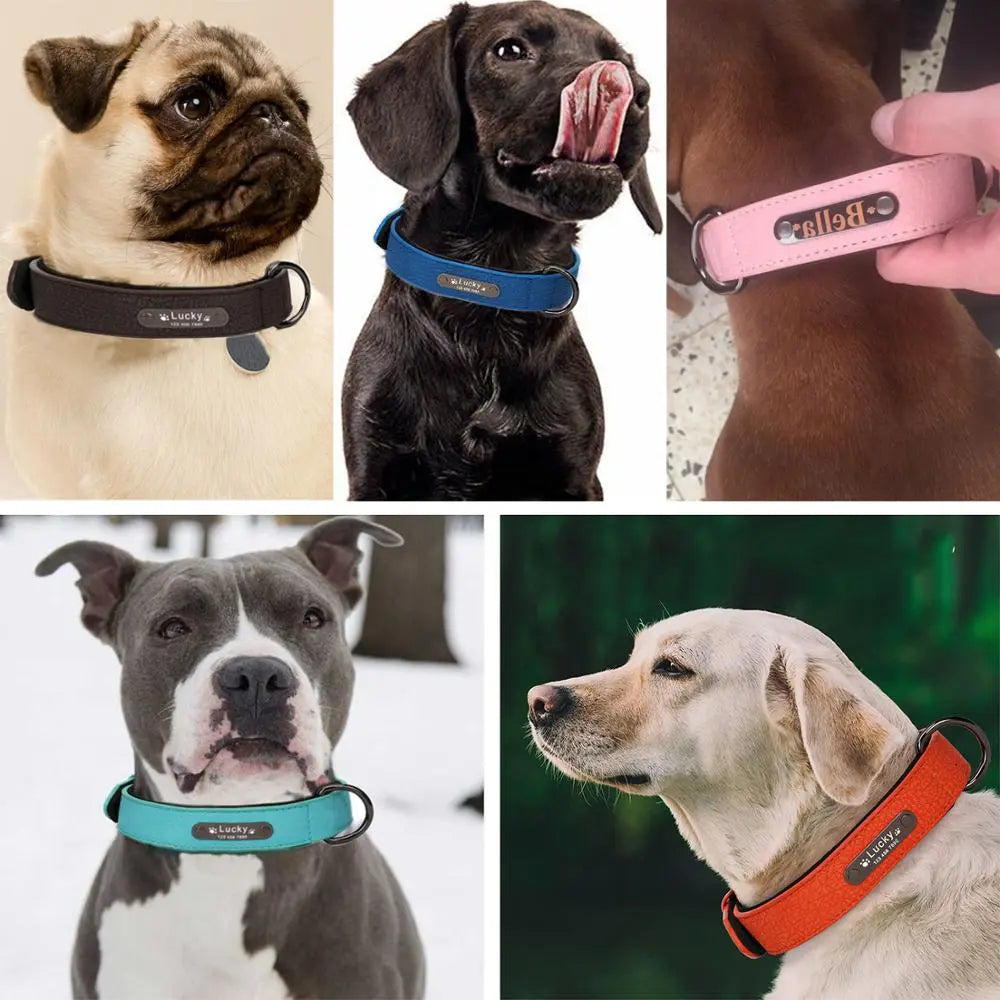 Adjustable Personalized Leather Collar