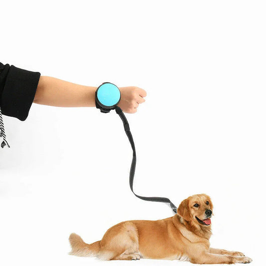 Hands Free Leash