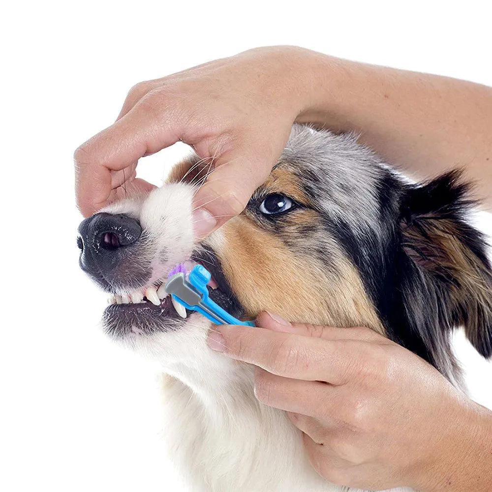 Three-Sided Rubber Toothbrush